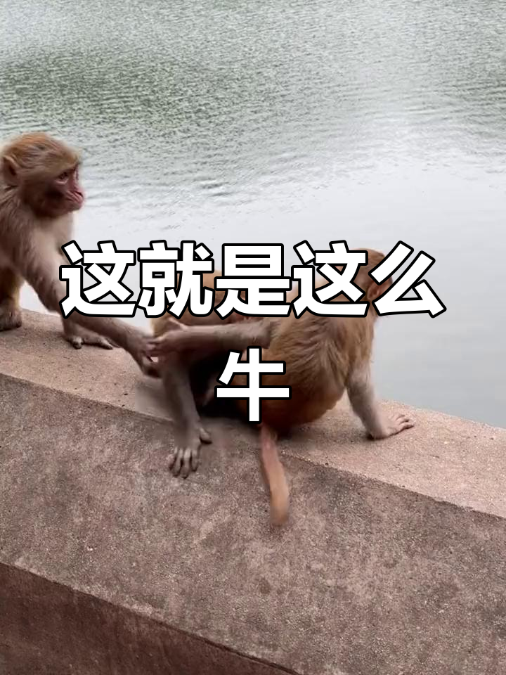 抖音就是这么牛,看看这操作!