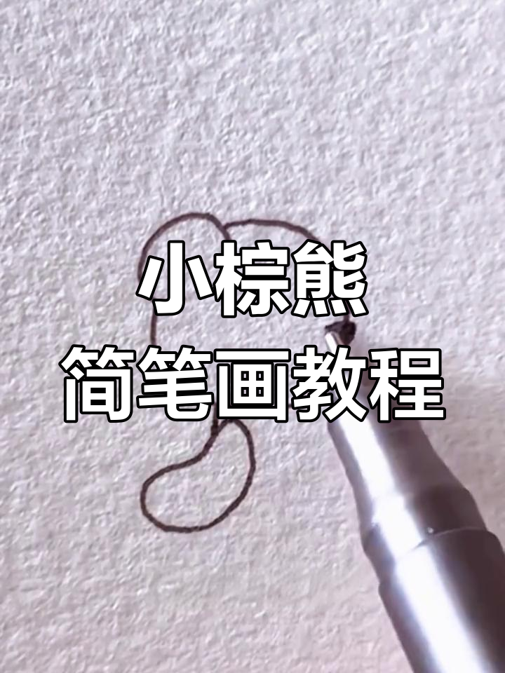 轻松学会画小棕熊简笔画