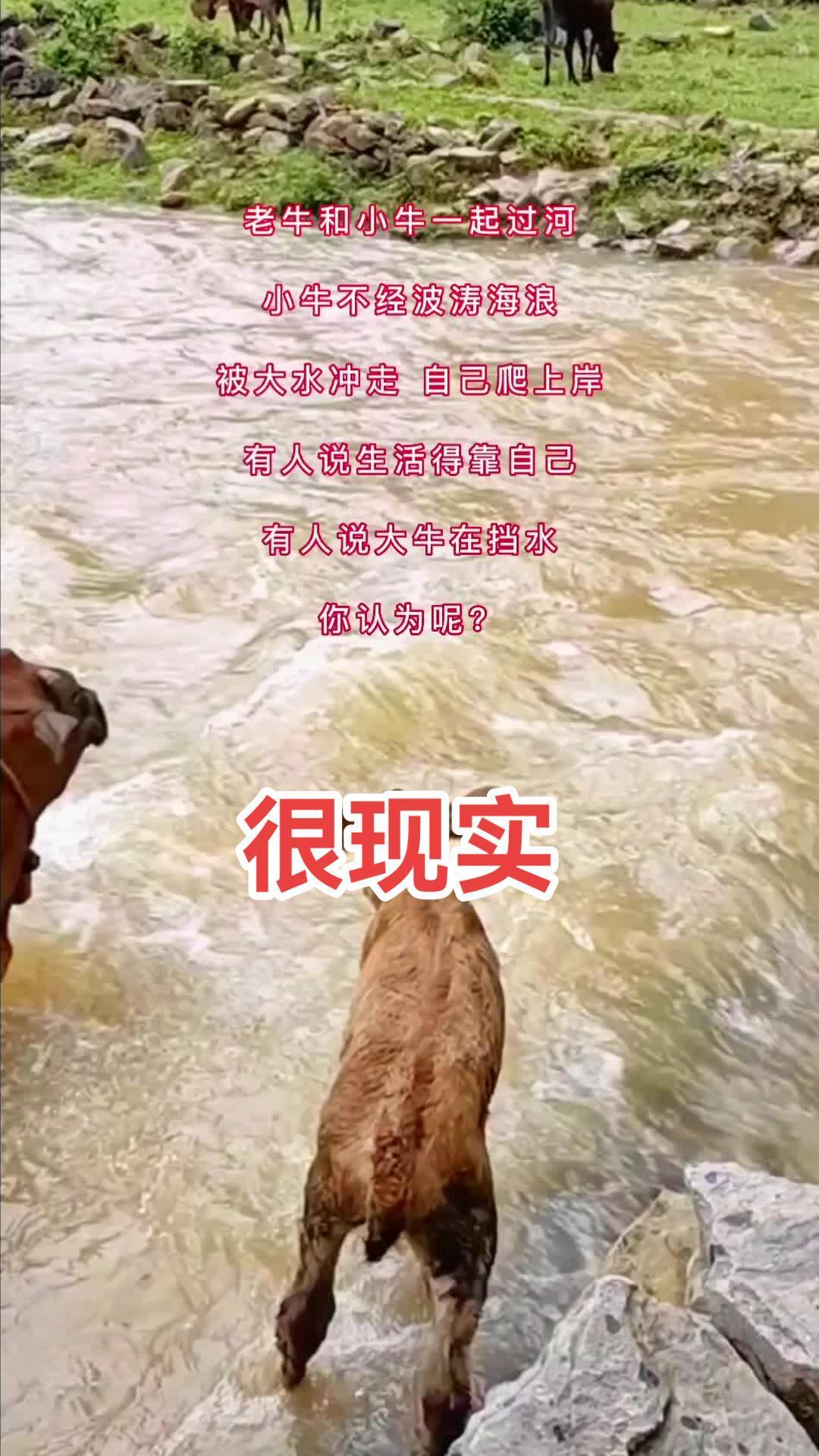 传递正能量 随拍 扎心现实 想要活着还得靠自己