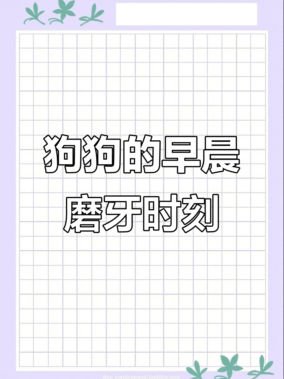 狗为什么磨牙