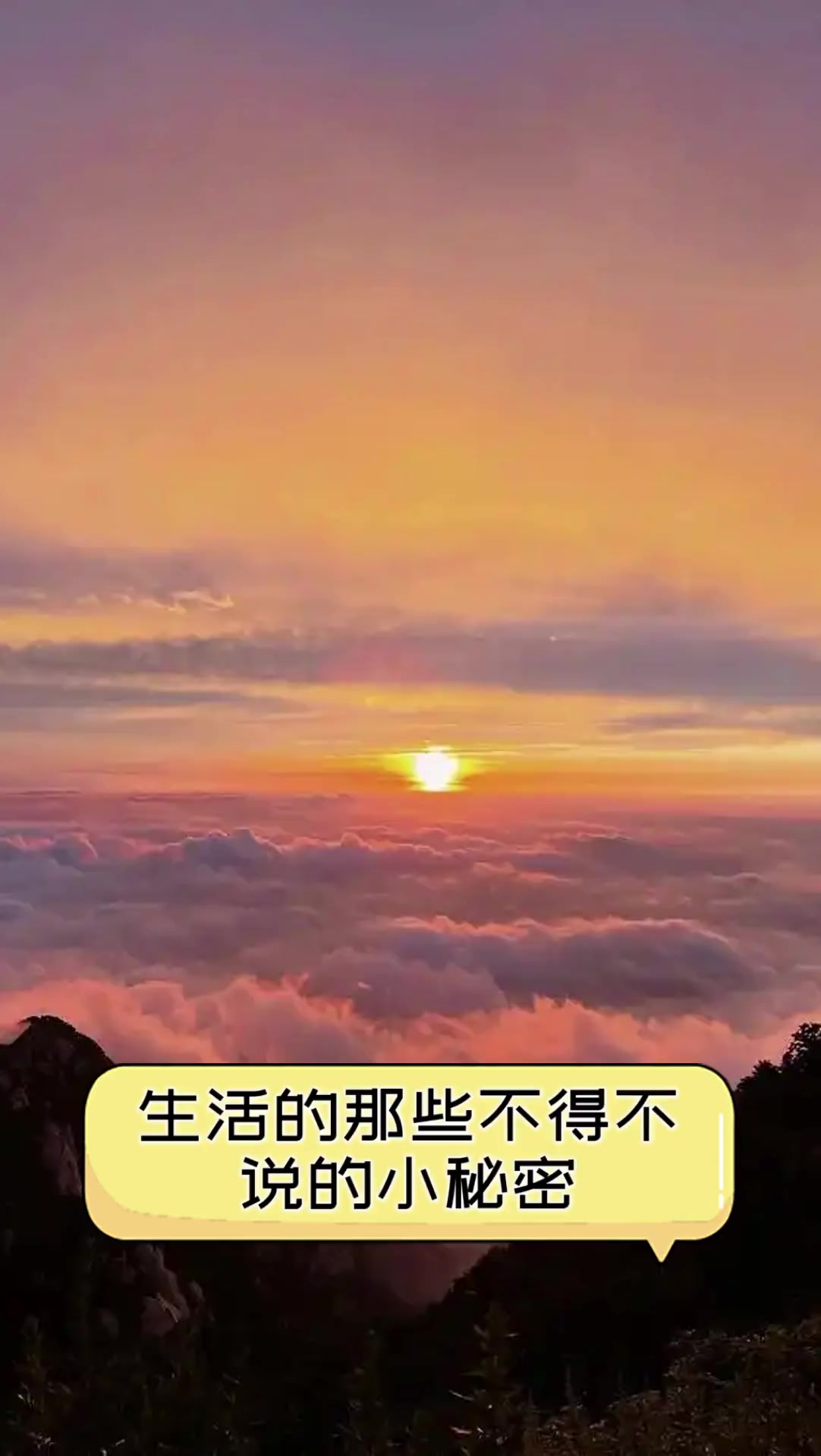 生活的秘密的介绍和生活的秘密全集免费观看剧情分析