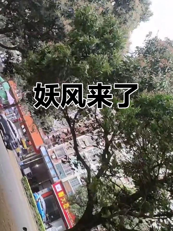 妖风来袭,快来看!