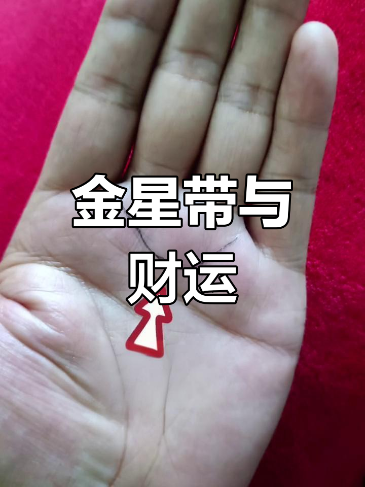 手相金星带揭示财富命运