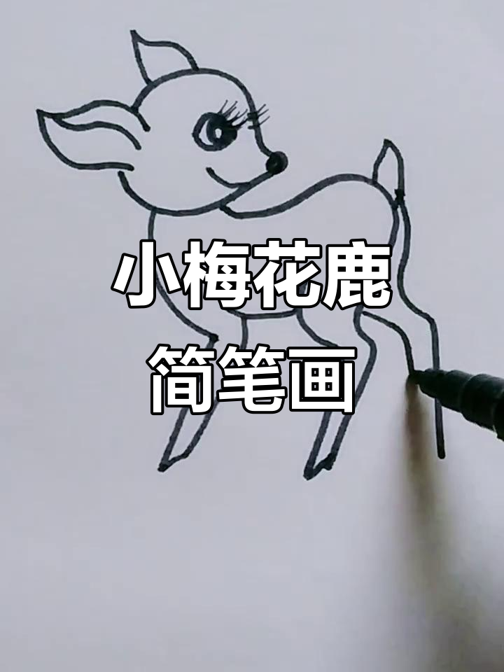 轻松学画可爱小梅花鹿,简单又有趣!