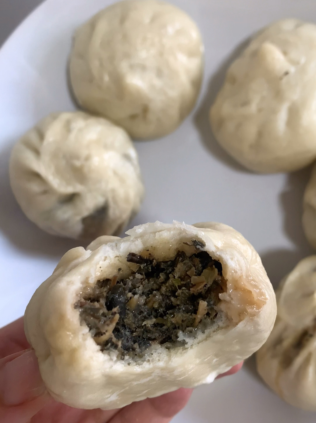 马齿苋包子教程 嘎嘎香!