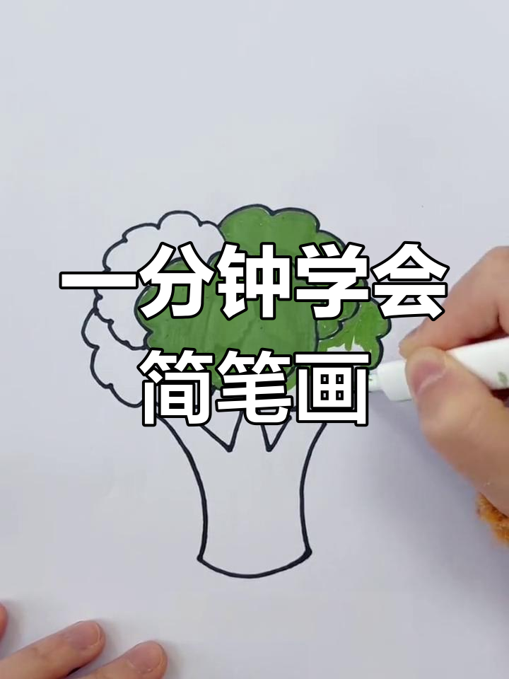 西兰花简易画法图片