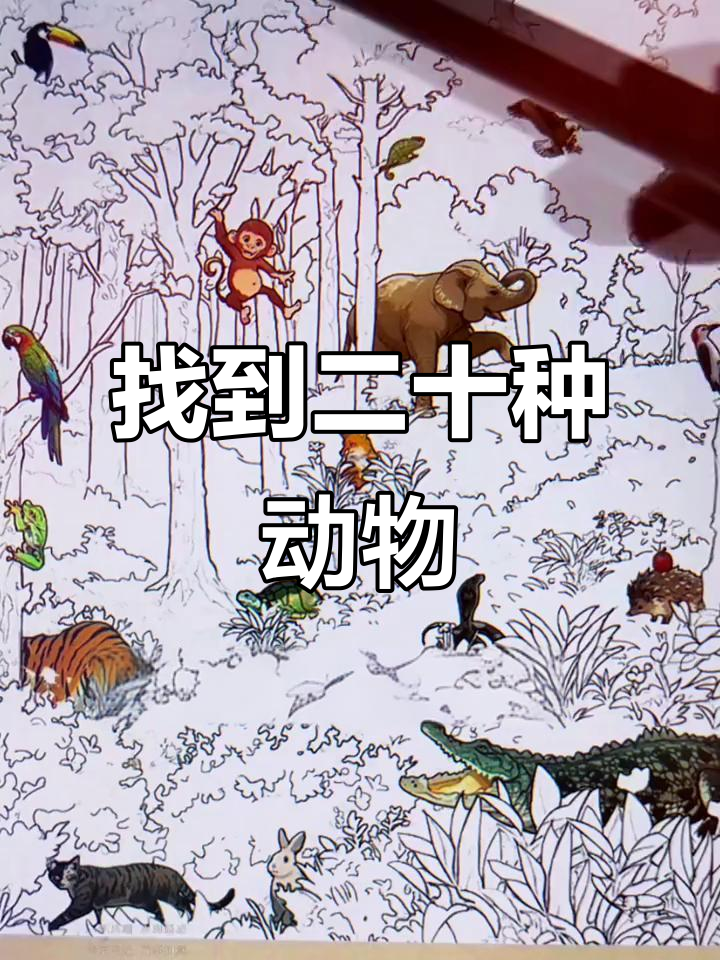 找出所有动物,挑战眼力极限!