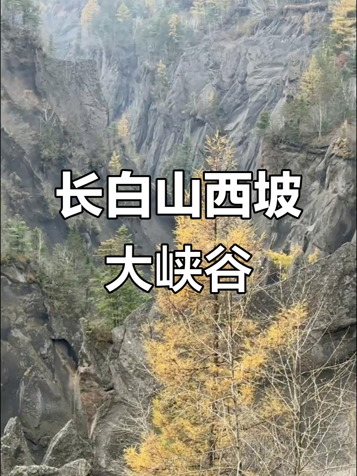探秘长白山西坡锦江大峡谷,壮丽自然景观尽收眼底