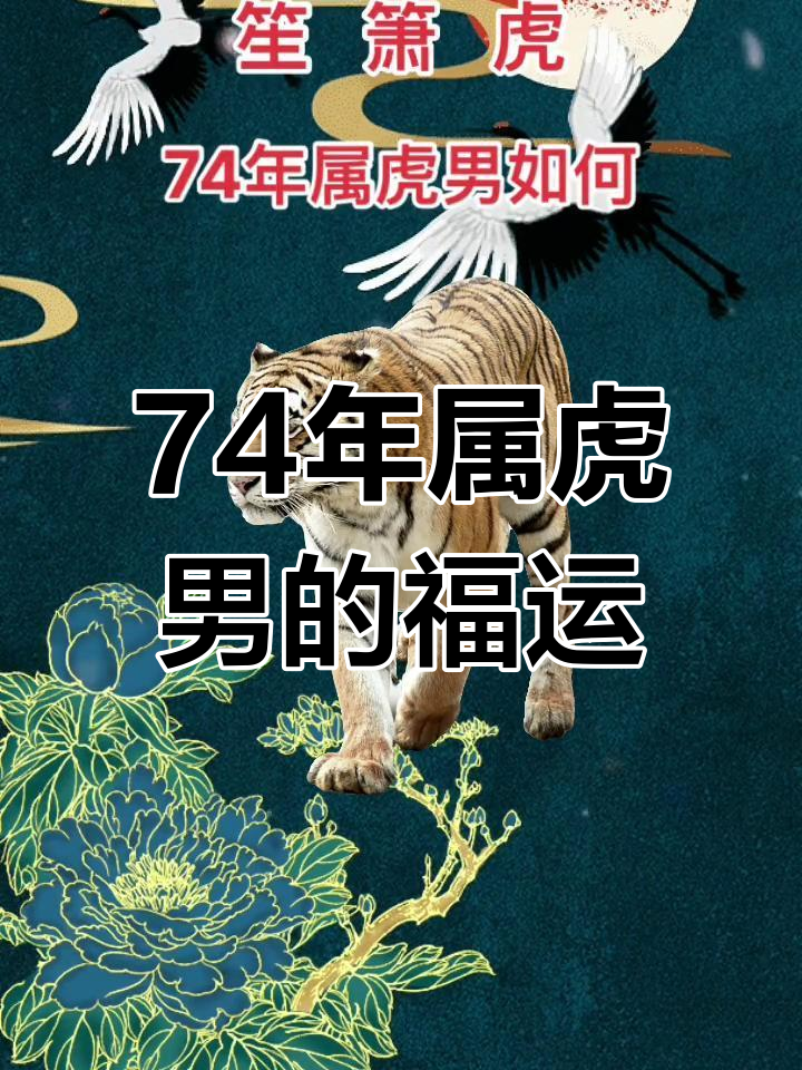 生肖虎的近期运势(生肖虎2021运势大全)