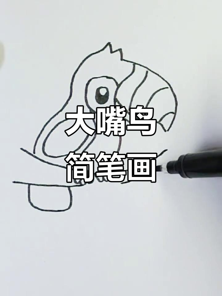 简单步骤教你画大嘴鸟,轻松上手!