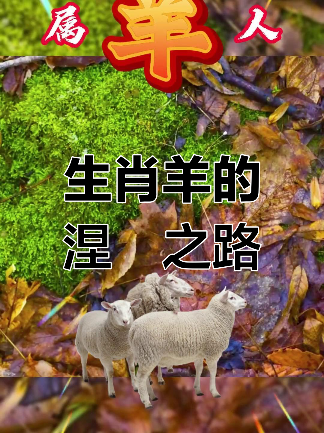 生肖羊运势揭秘6月5曰(属羊的今年六月运势)