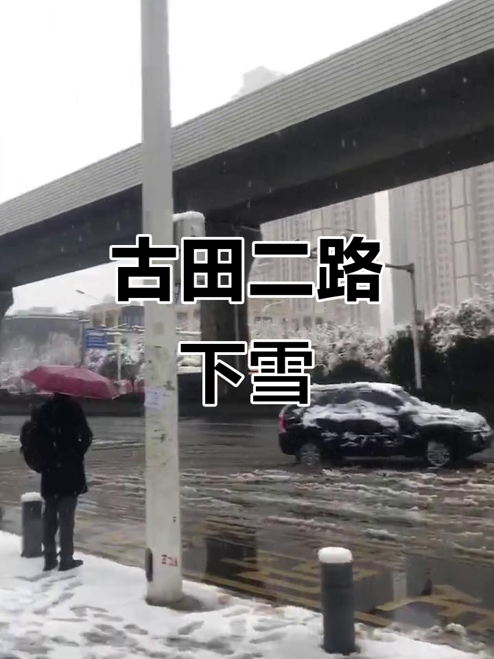 古田二路迎来初雪,武汉街头美景尽显