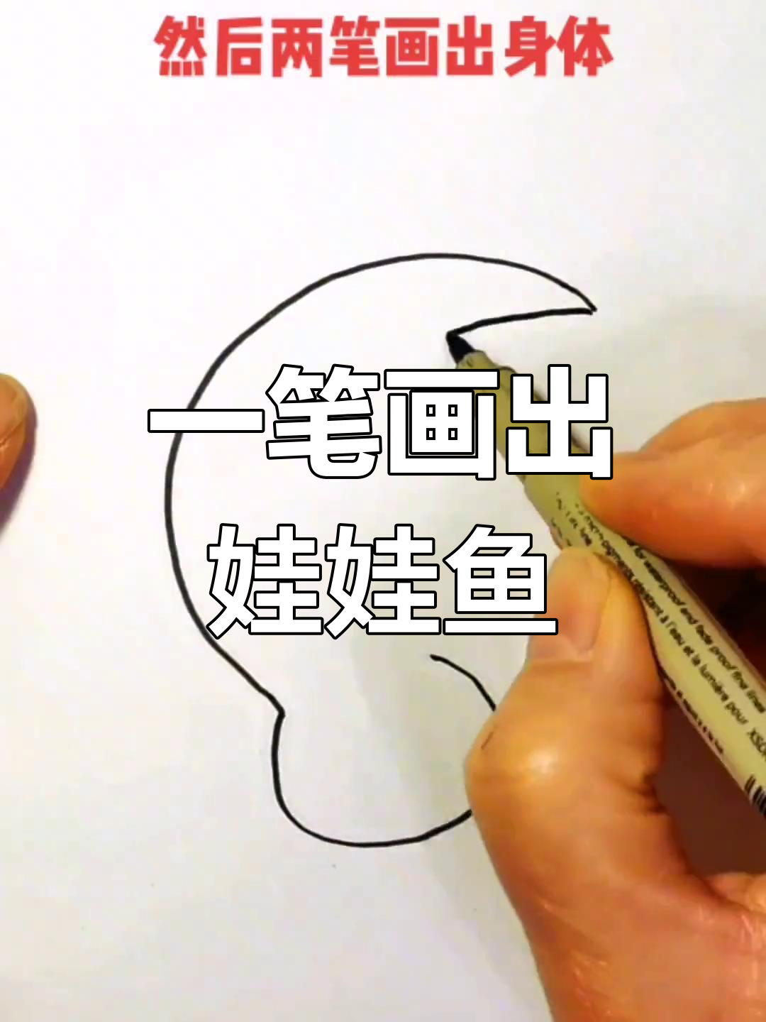 轻松画出可爱的娃娃鱼