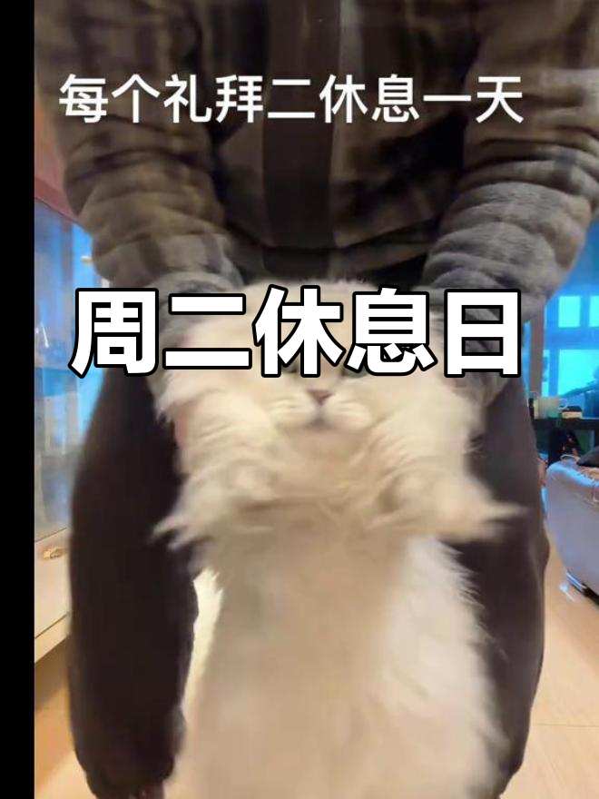 每周二休息,放松心情,享受悠闲时光