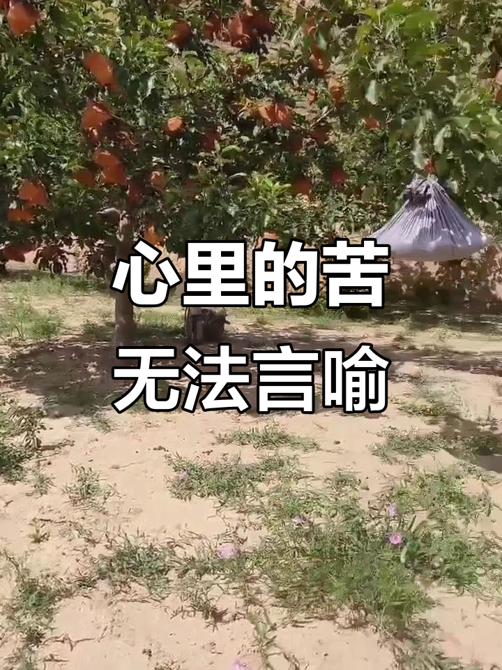 成年人的心声:心里的苦,比黄连还难忍