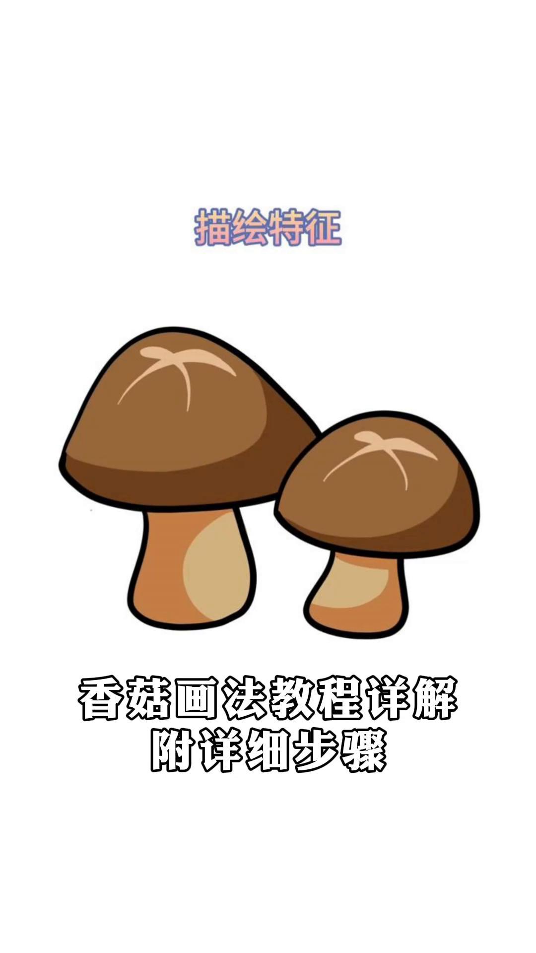 香菇画法教程详解,附详细步骤