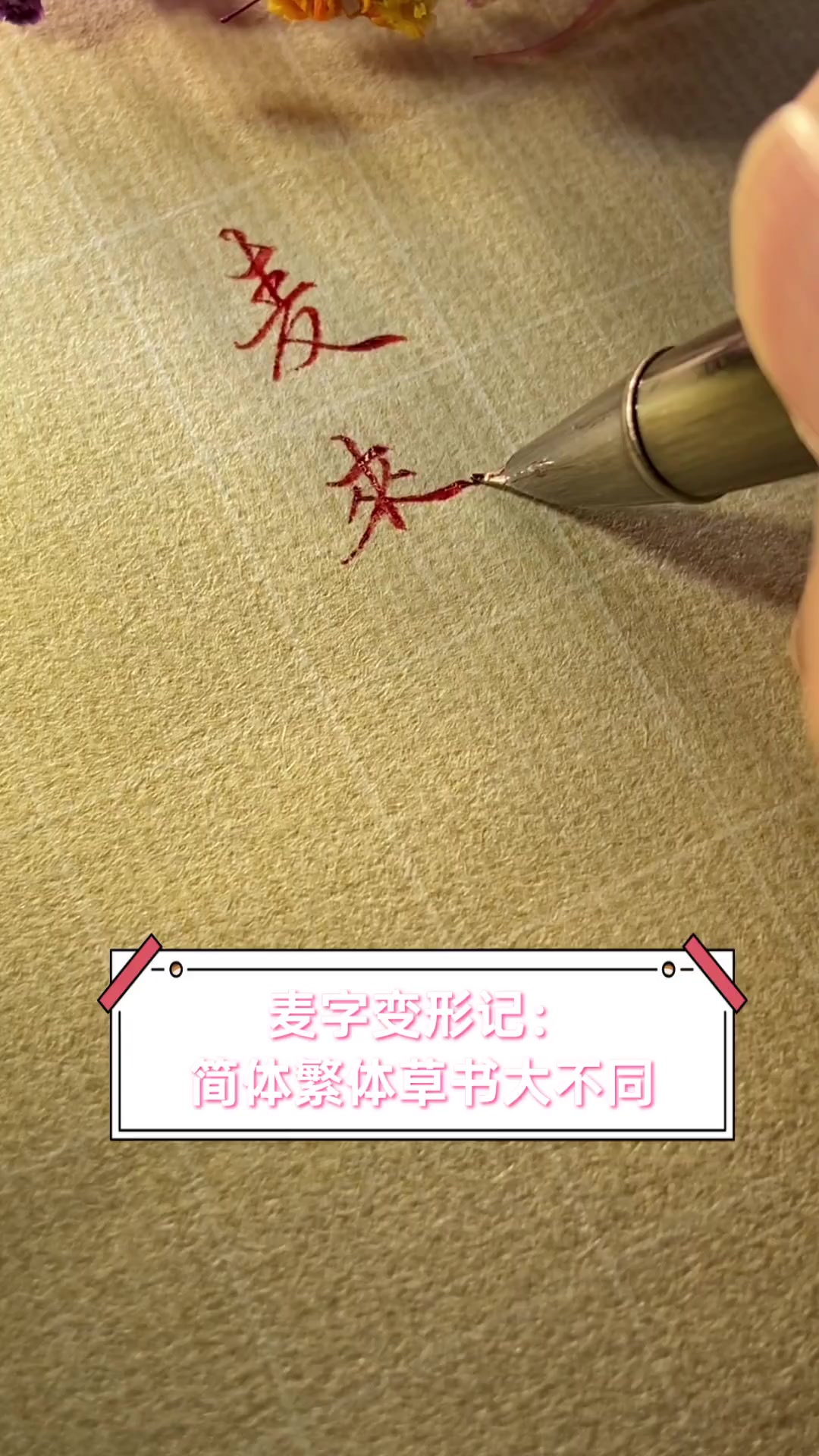 麦字变形记 简体繁体草书大不同