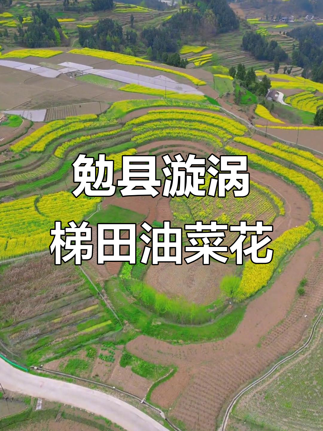 汉中勉县漩水坪梯田,油菜花盛开美景尽收眼底