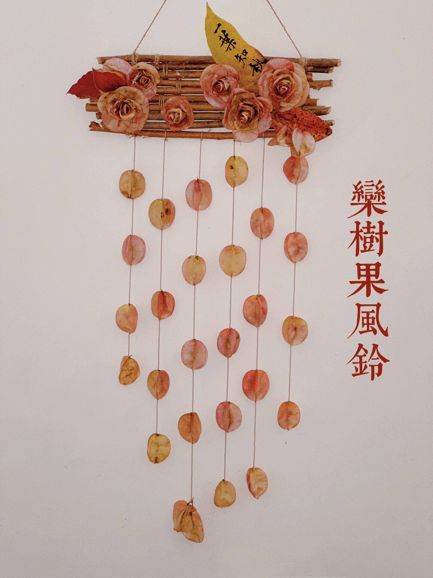 大自然的恩赐