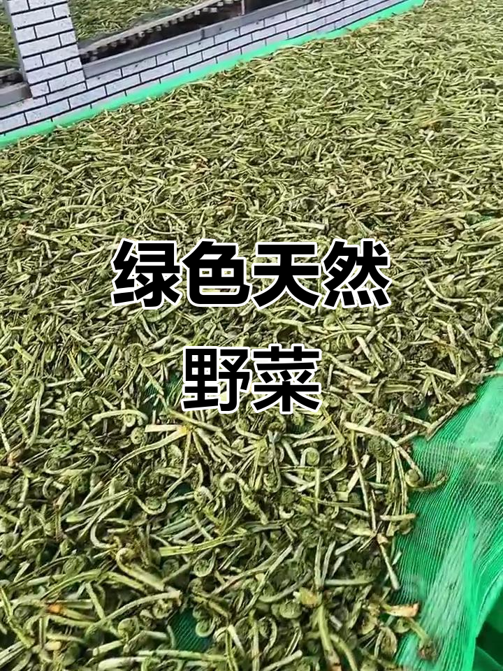 东北野生黄瓜香,自然晾晒肉多鲜绿