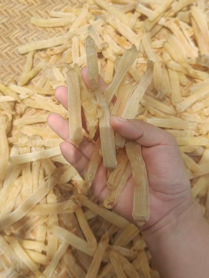 晒沙虫干咯,沙虫干是这样晒出来的哒
