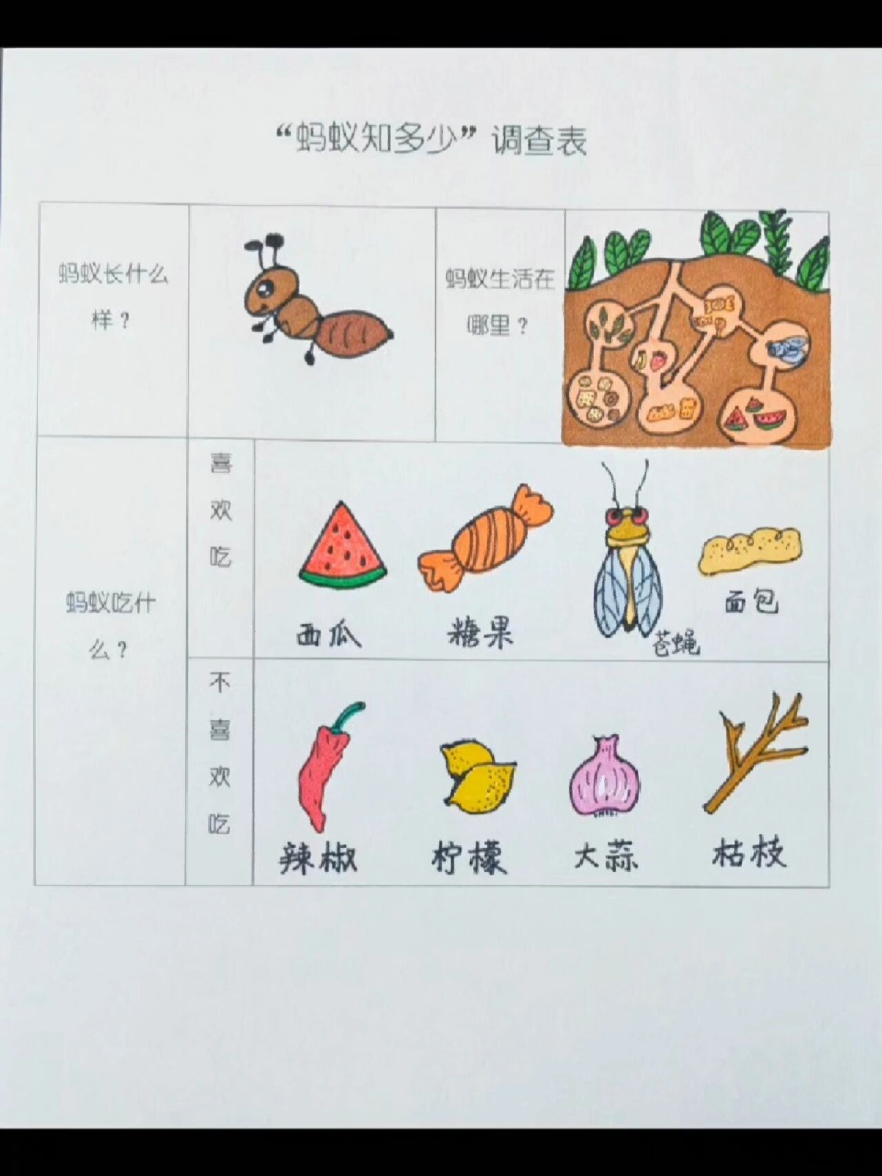 幼儿园作业系列