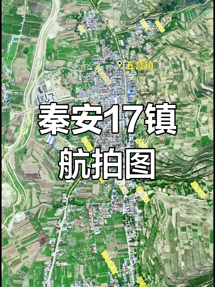 秦安县17镇全景卫星地图