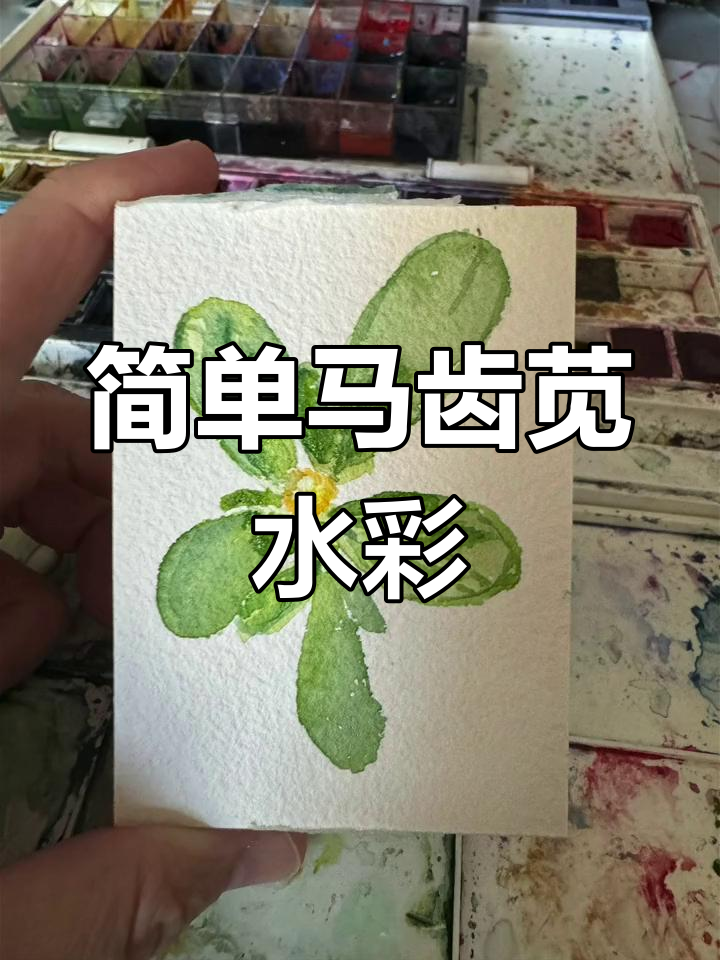 马齿苋水彩画,轻松上手的手绘花卉技巧