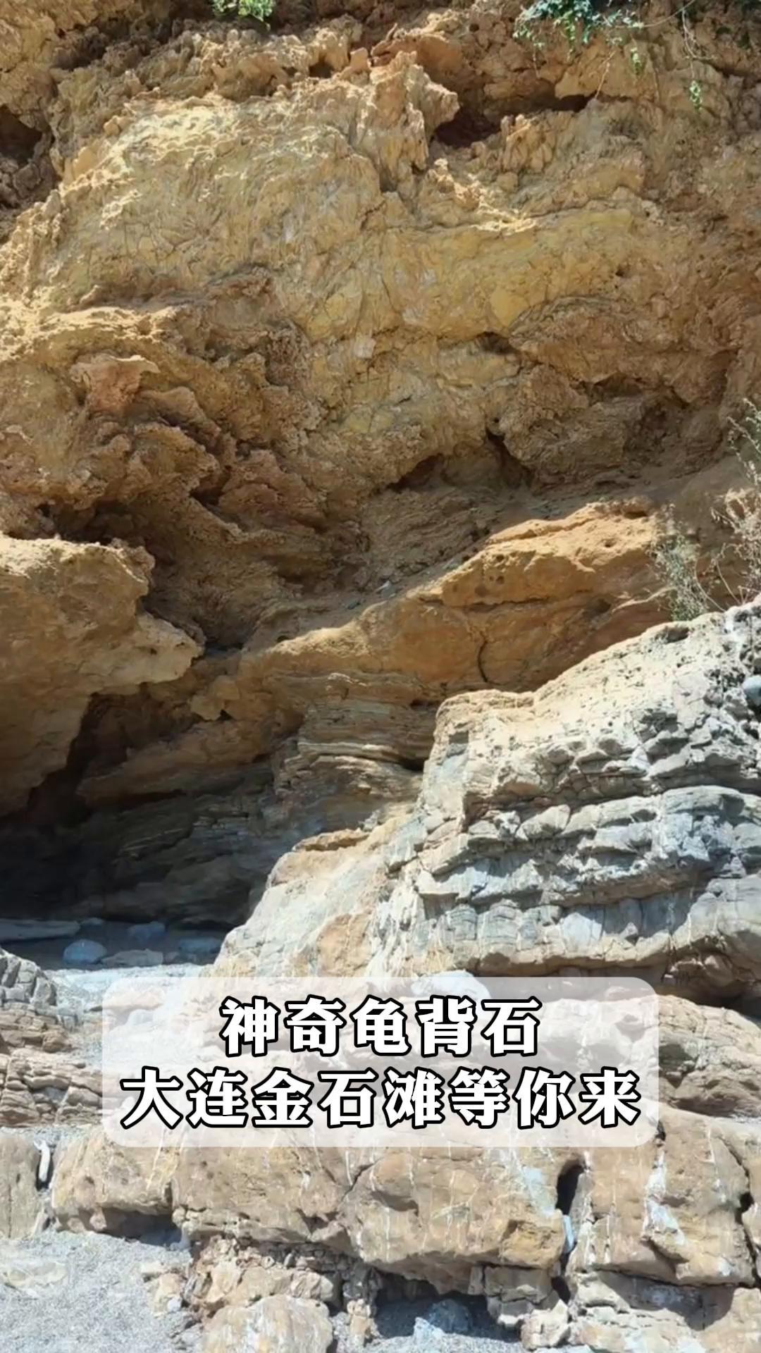 神奇龟背石,大连金石滩等你来