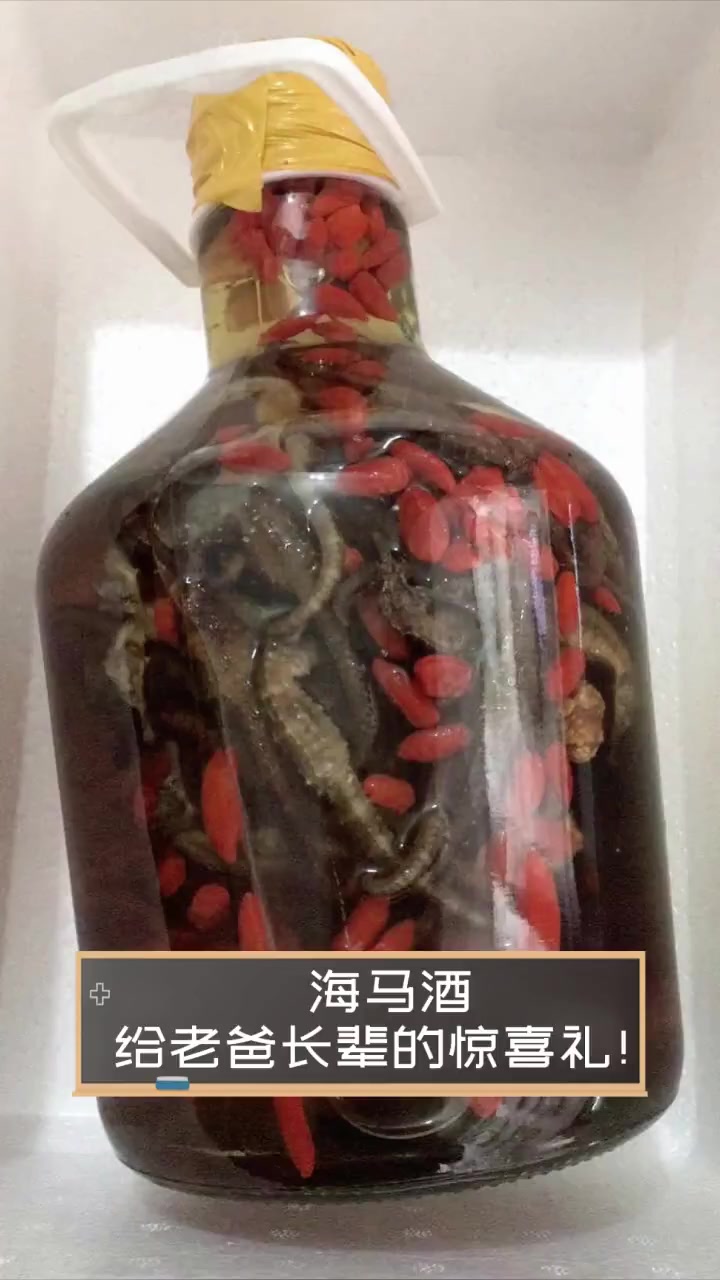 海马酒,给老爸长辈的惊喜礼!