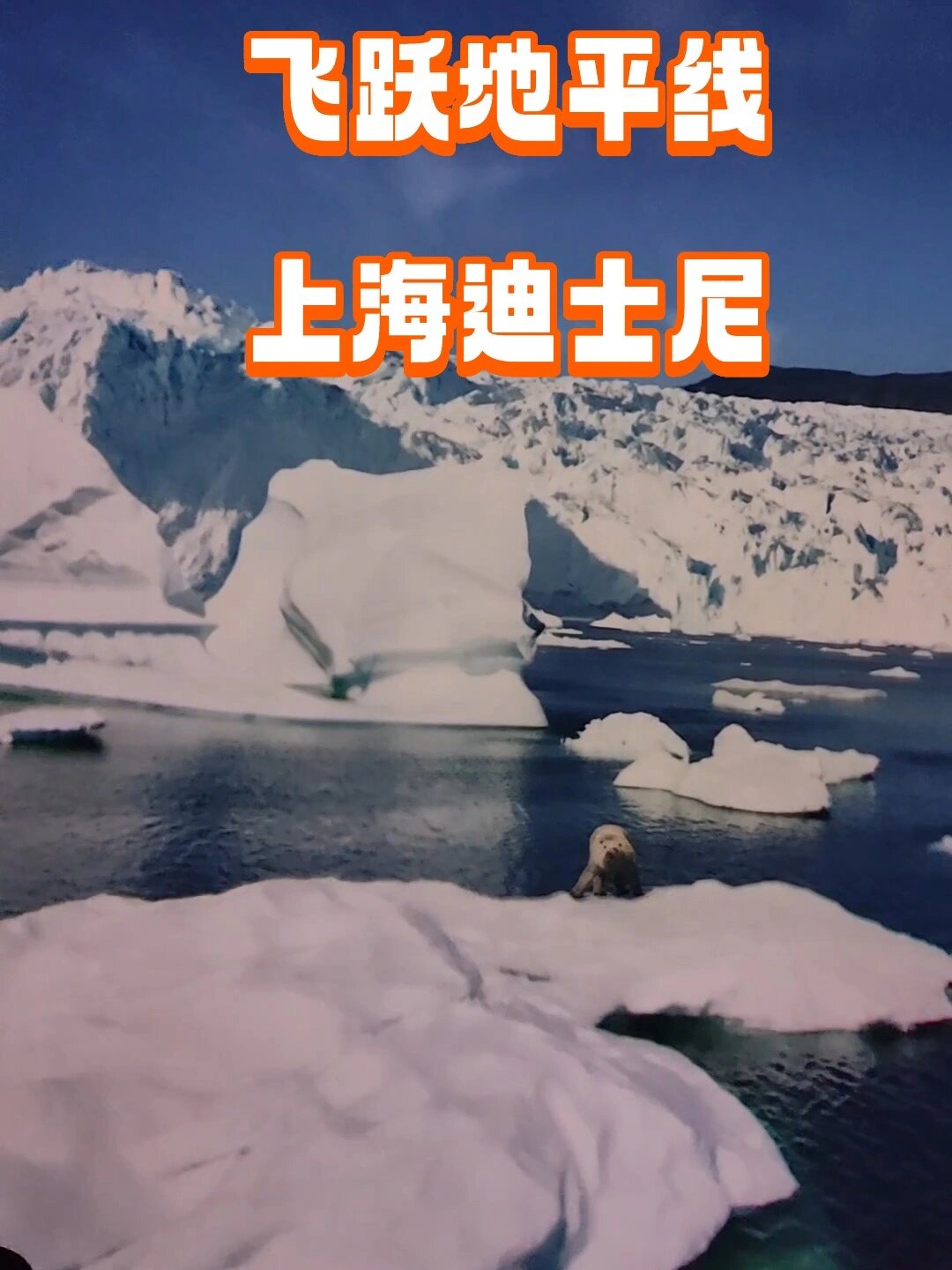 上海迪士尼—飞跃地平线