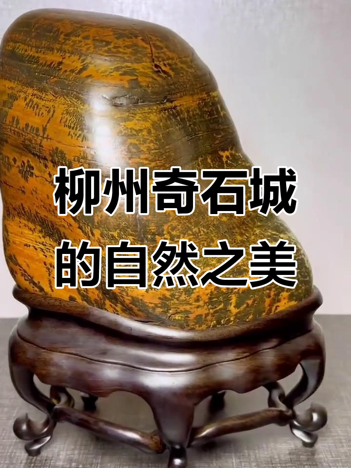 柳州奇石城:大化彩玉石与卷纹石的天然魅力