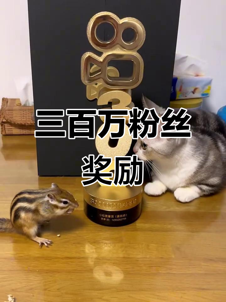 快手粉丝三百多万能挣多少钱（快手三百多万粉丝能赚多少钱一年）
