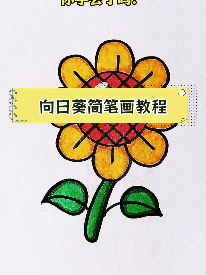 轻松学会画向日葵,简单步骤教你完成