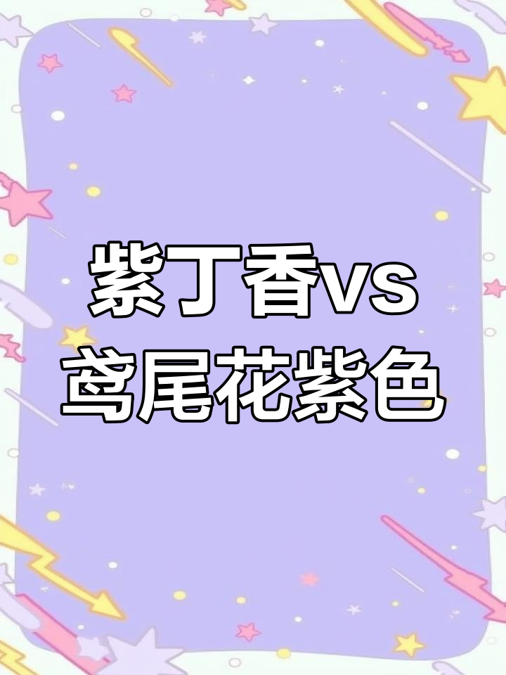 紫丁香与鸢尾花紫色对比,哪个更适合你?