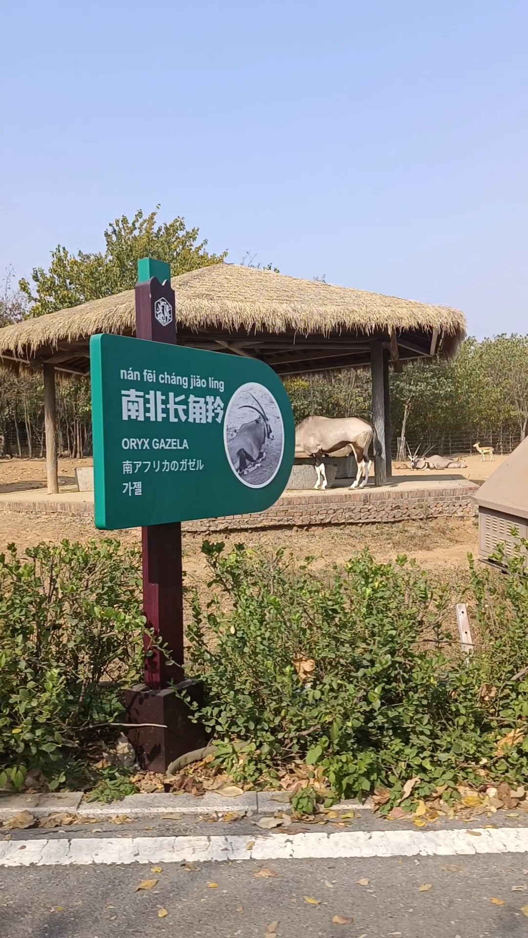 真心乾貨濟南章丘野生動物園分享