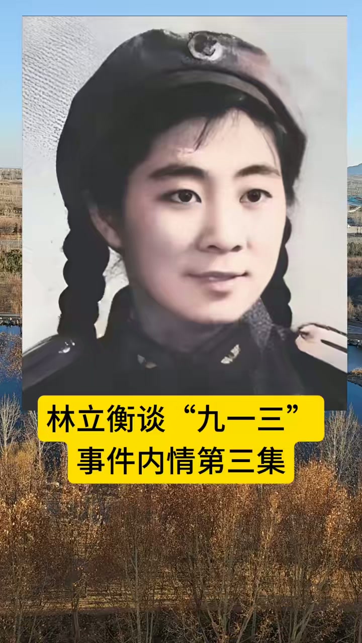 林立衡谈913历史事件