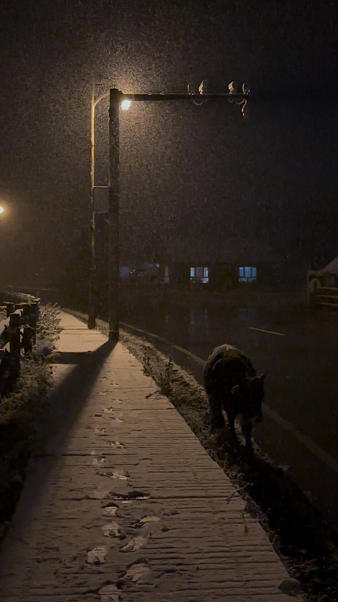 夜晚下雪的图片真实图片