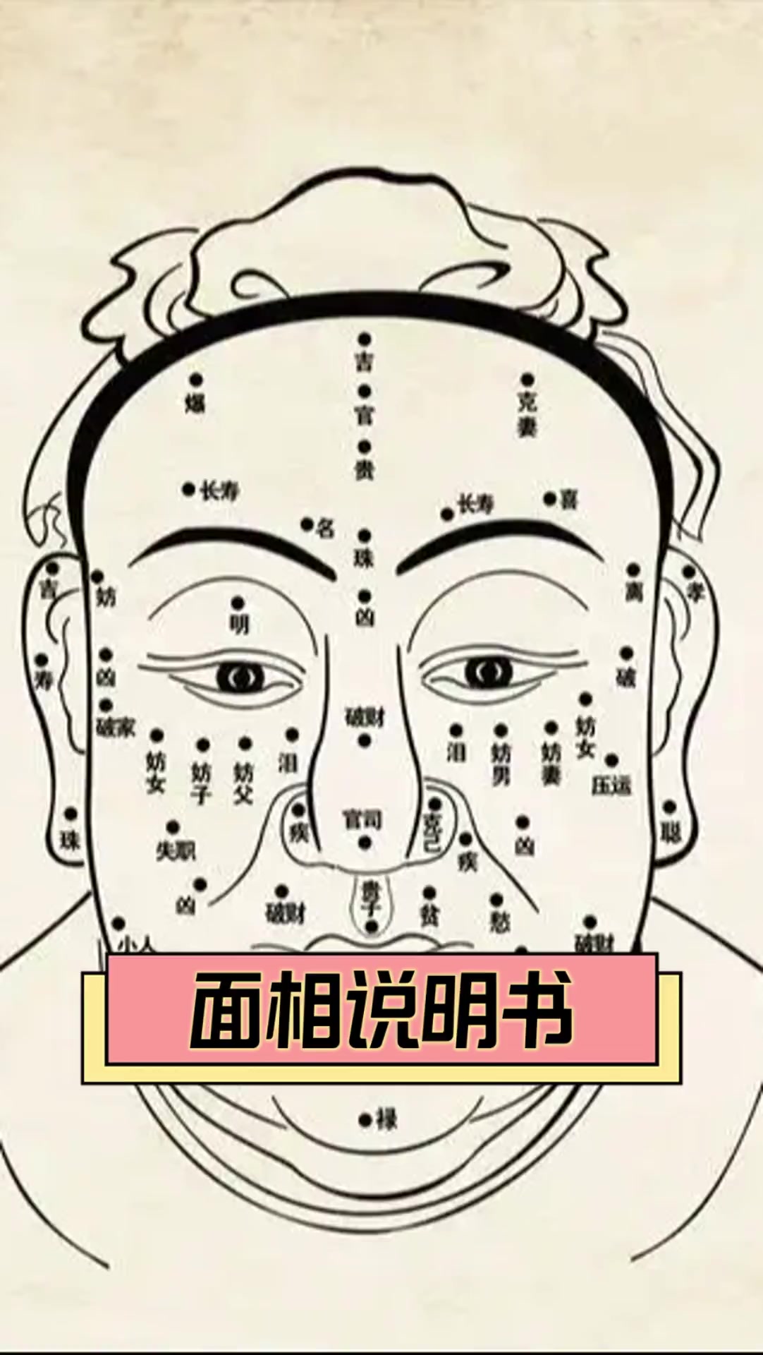 面相说明书