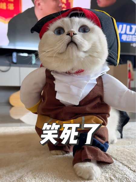 1.53万0宝哥爆改成功!这谁能顶得住啊,宋小宝凭实力爆改自己126.