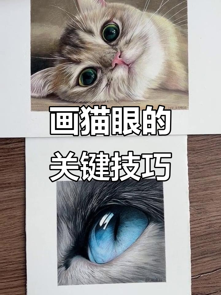 画出猫咪通透眼神的两大秘诀,掌握这两点让眼睛更有神