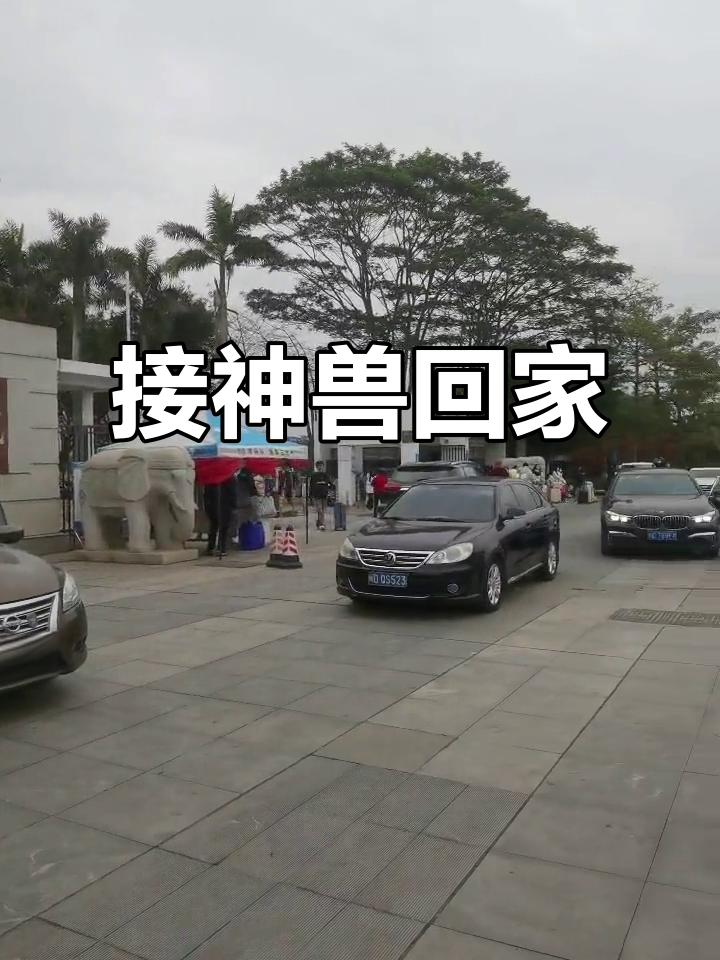 放假了!神兽归家,假期嗨翻天
