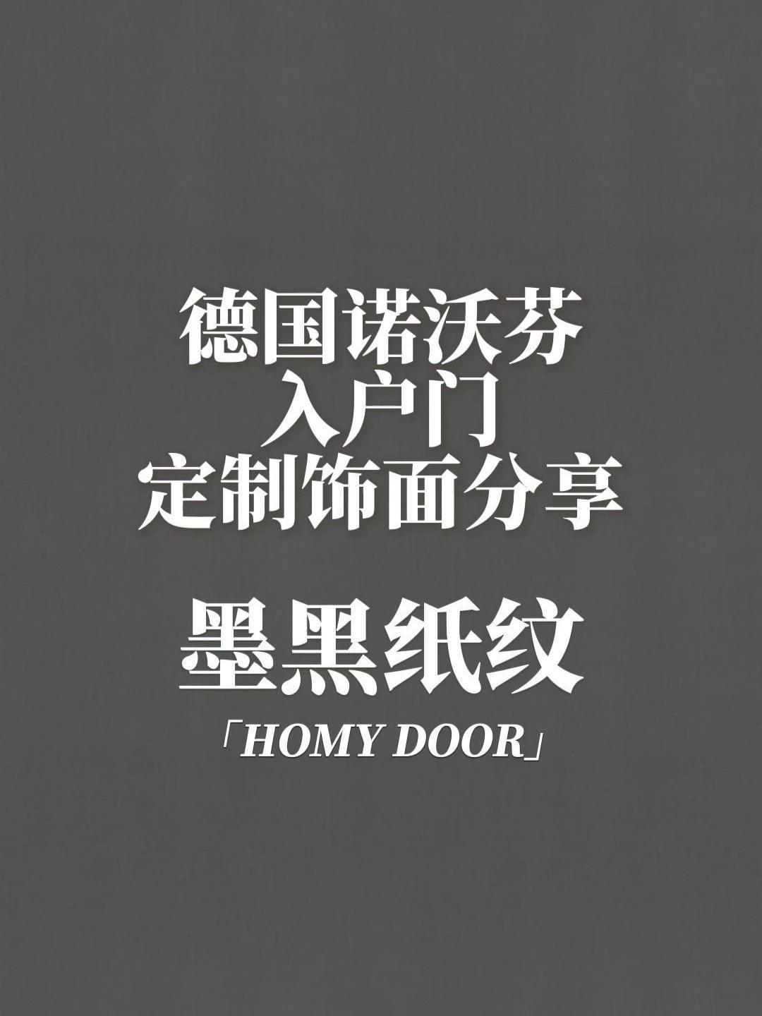 德国极简入户门,定制颜色展示,墨黑纸纹 防盗门 入户门 极简门 诺沃芬