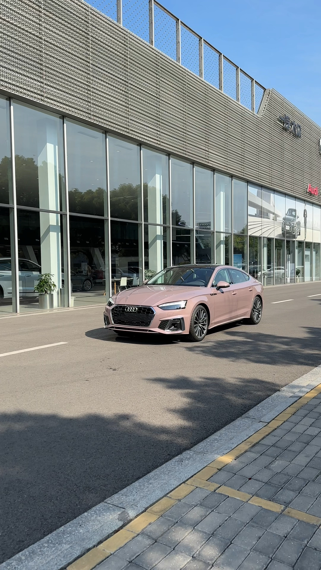 来自冰莓粉的优雅 2023款奥迪a5冰莓粉-度小视