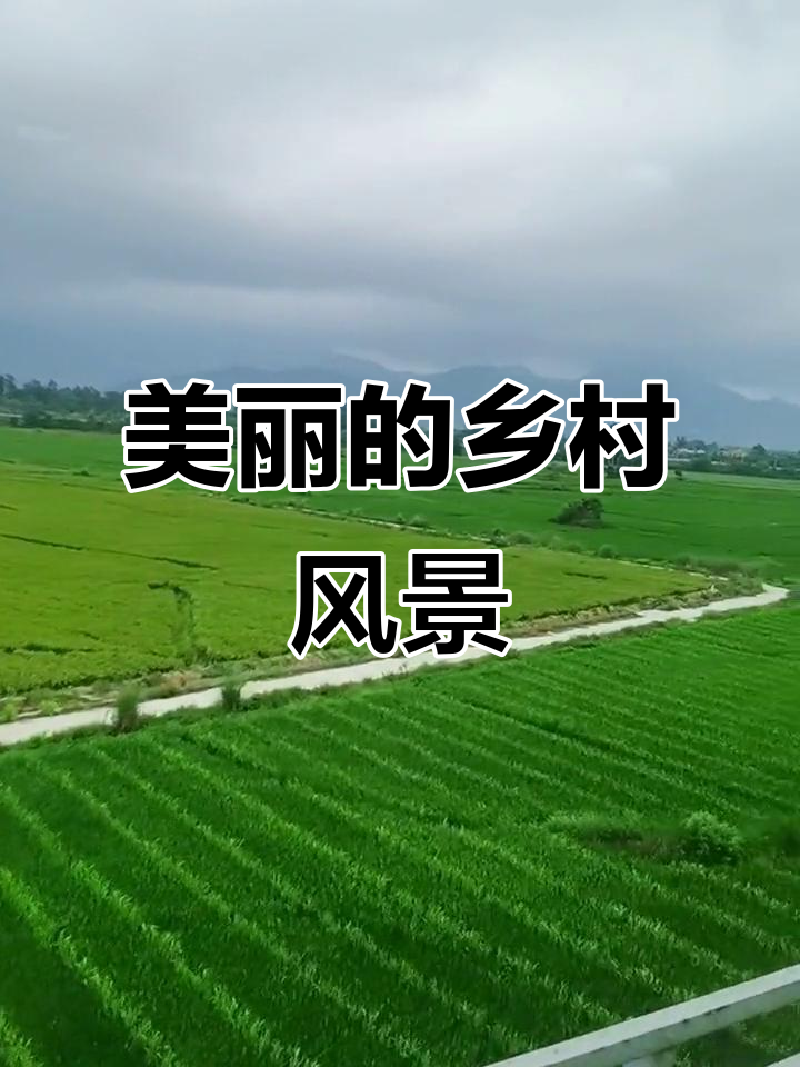田园风光,美丽家乡