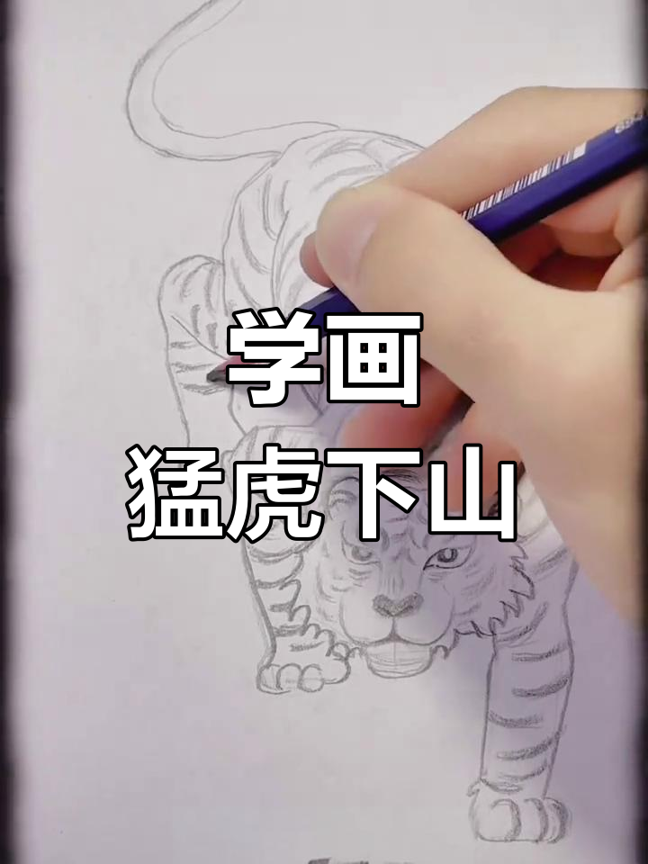 猛虎下山高清图简笔画图片