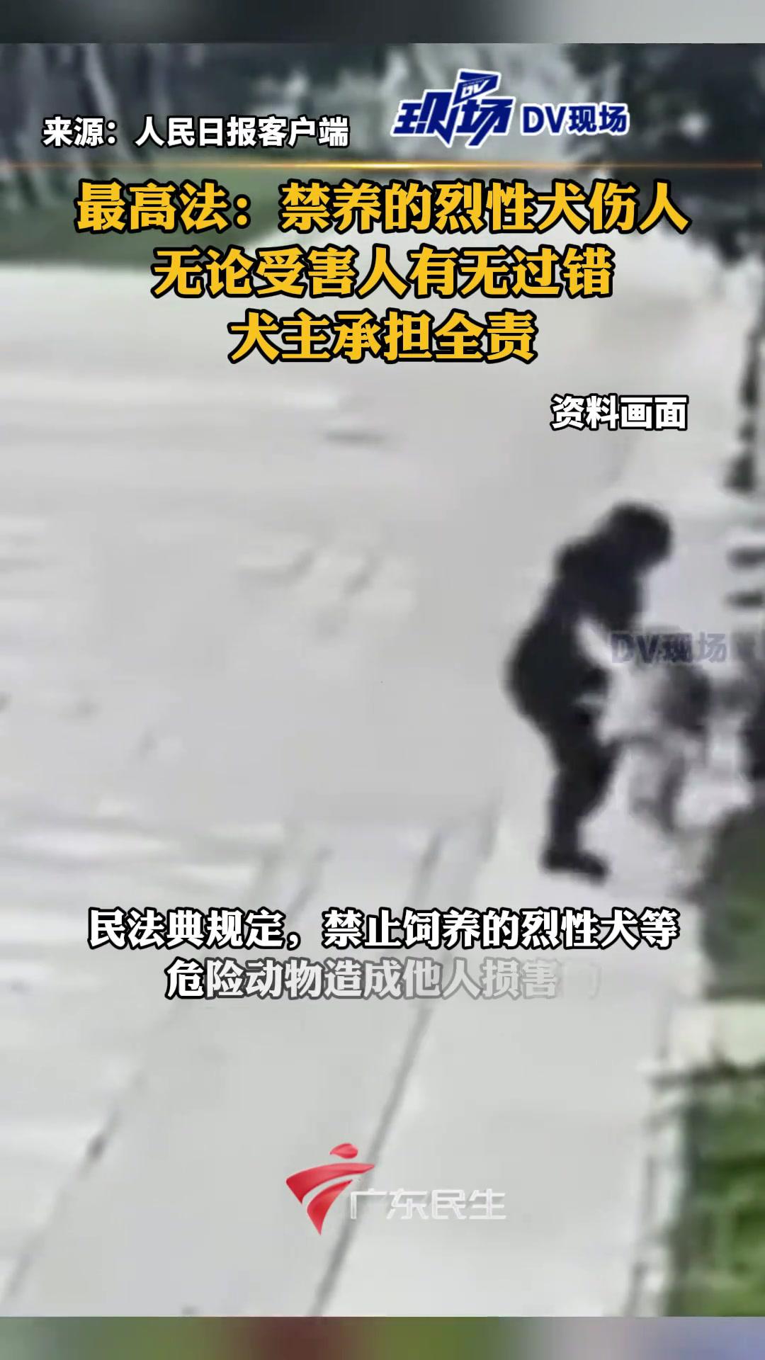 最高法禁养的烈性犬伤人无论受害人有无过错犬主承担全责