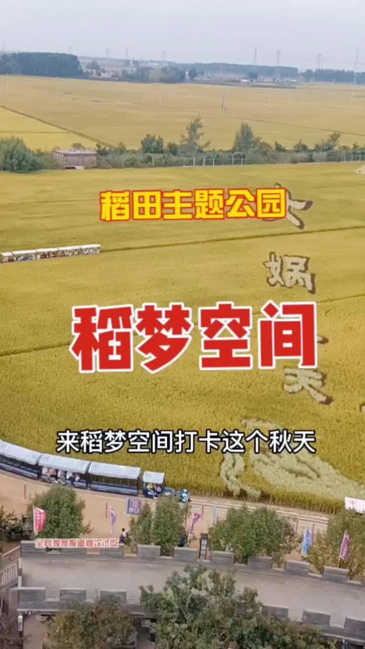 稻田主题公园,全家游好去处 九零后代运营 来稻梦空间打卡这个秋天