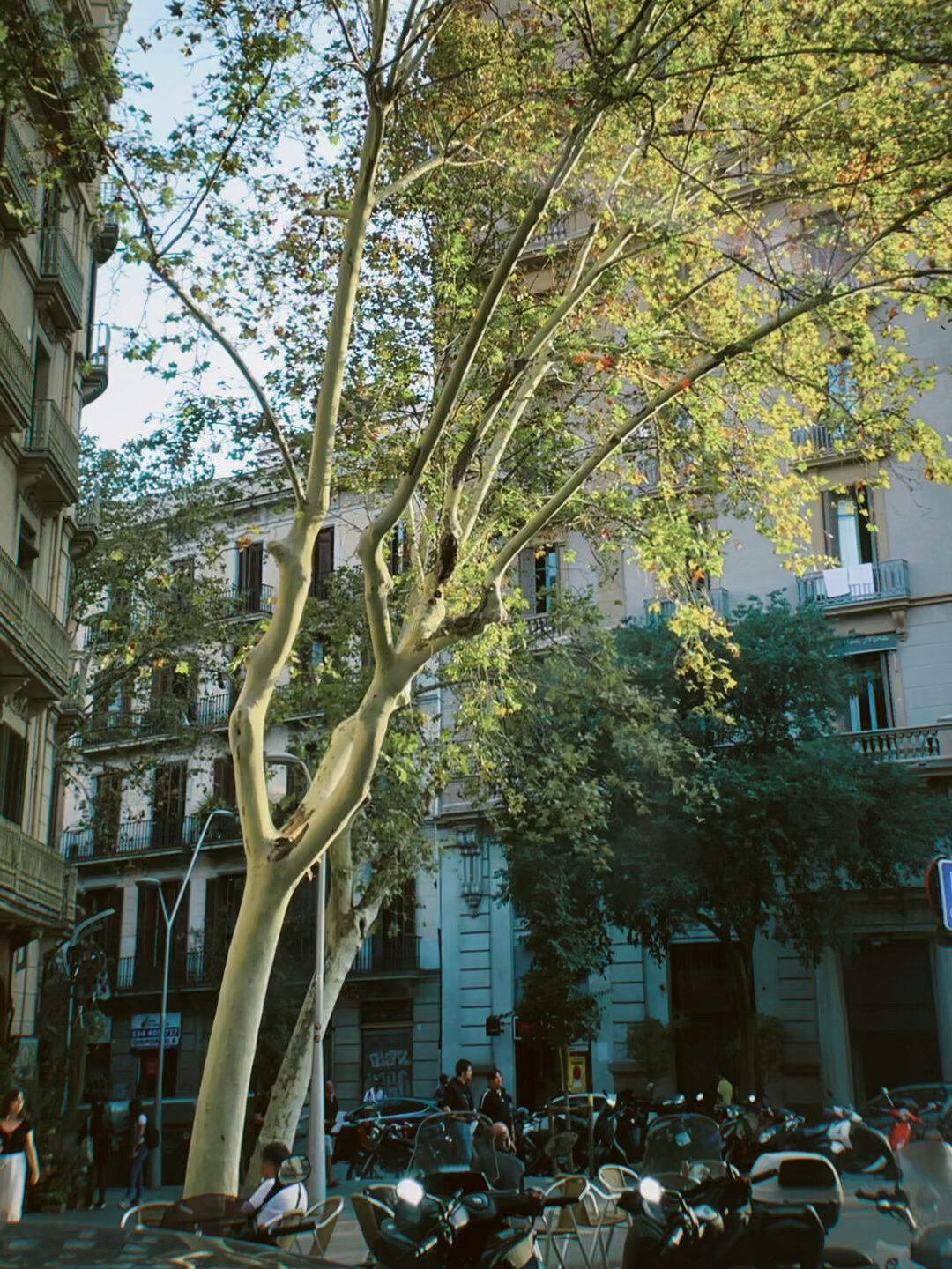 巴塞罗那|街景