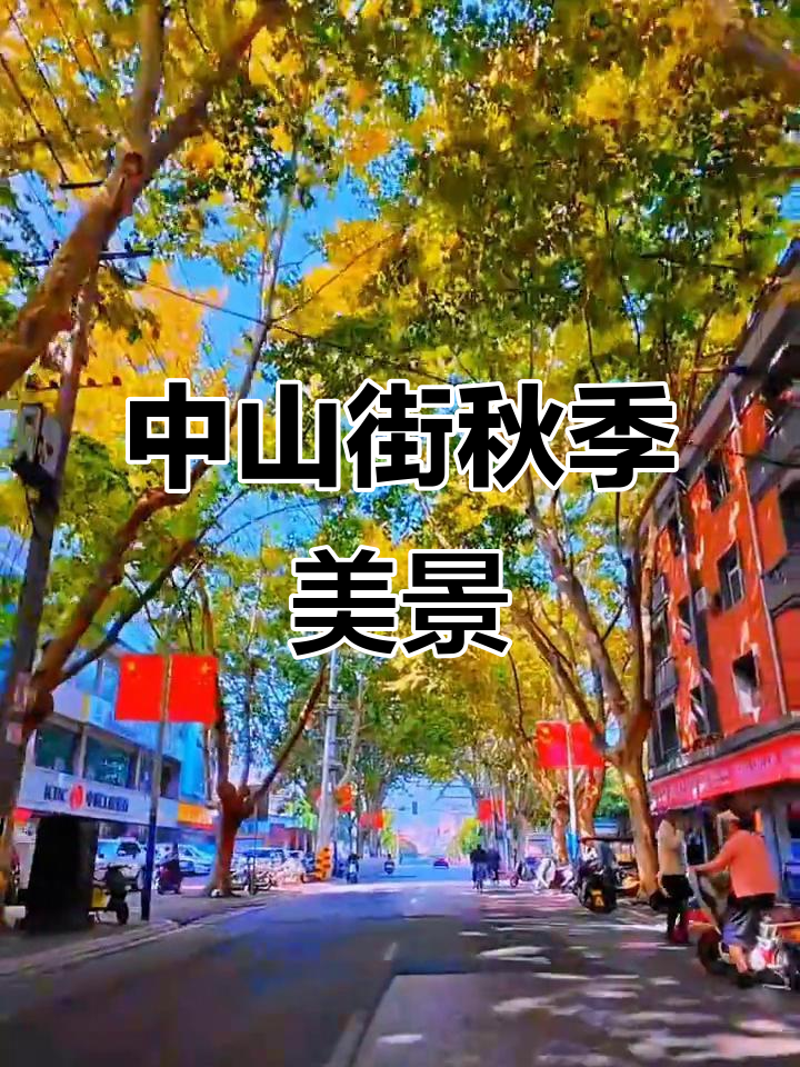 汉中中山街秋色如画,梧桐树下美景尽收眼底